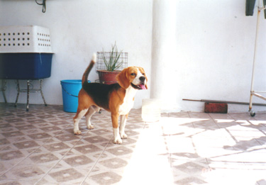 max2.jpg (40169 bytes)