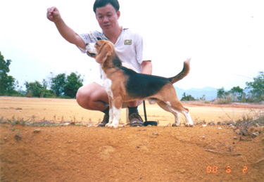 max4.jpg (46609 bytes)